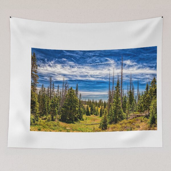 Item preview, Cedar Breaks National Monument designed and sold by GestaltImagery.