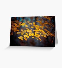 Last Days Greeting Card