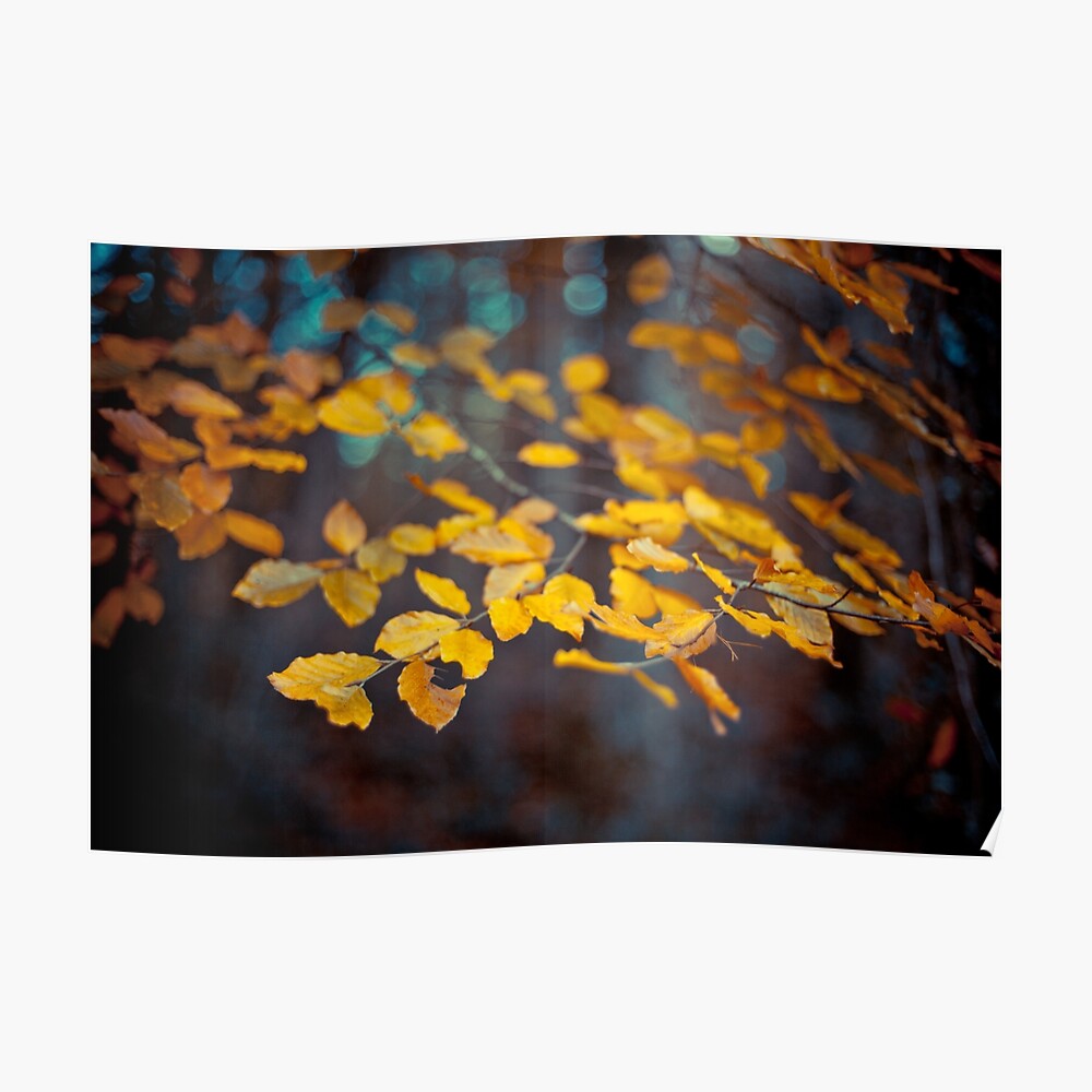 Last Days Poster