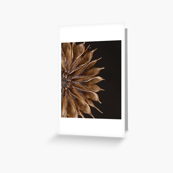 Last Year's Flower (crop version) Greeting Card