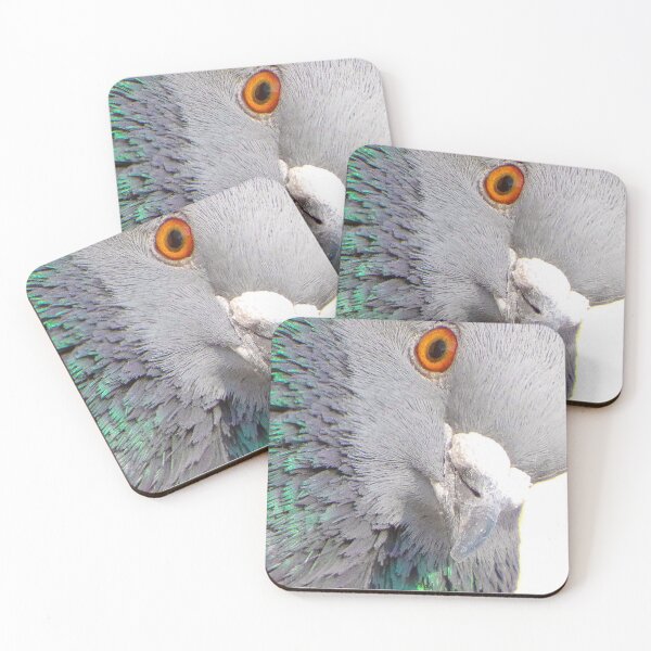 Item preview, Pigeon closeup designed and sold by ShoeBill99.