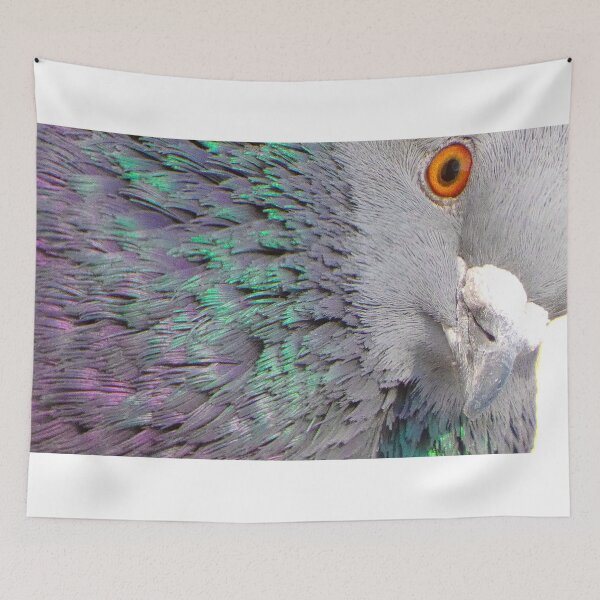 Item preview, Pigeon closeup designed and sold by ShoeBill99.