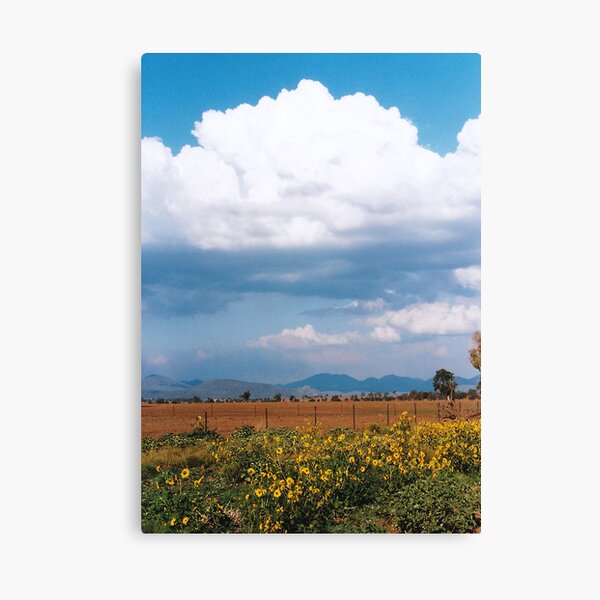 Item preview, Sunflower Alley designed and sold by Tainia Finlay.
