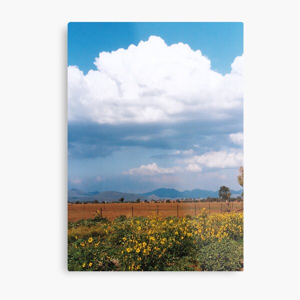 Item preview, Sunflower Alley designed and sold by Tainia Finlay.