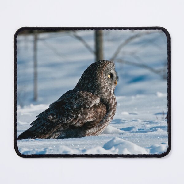 Item preview, Great Grey Owl designed and sold by Owl-Images.
