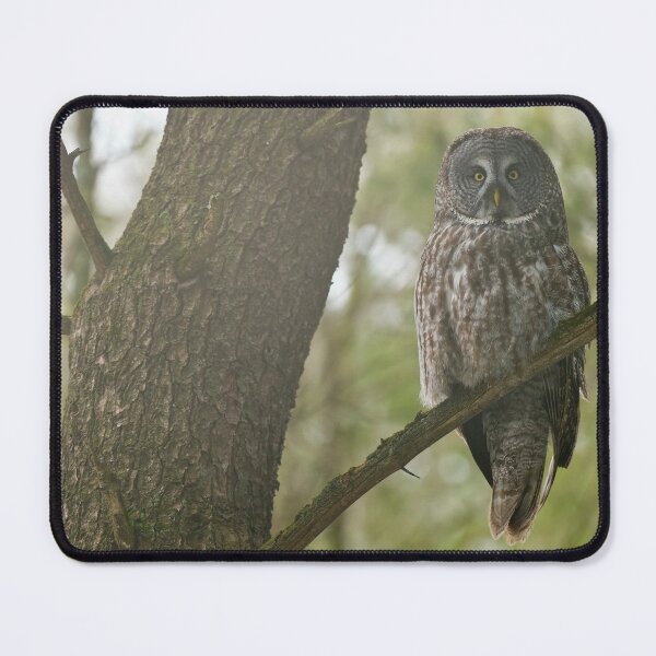 Item preview, Great Grey Owl designed and sold by Owl-Images.