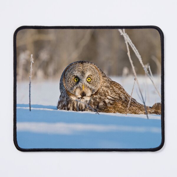 Item preview, Great Grey Owl designed and sold by Owl-Images.