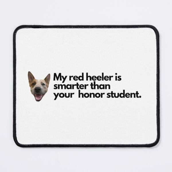 Artikelvorschau, Mein Red Heeler ist klüger als dein Ehrenschüler entworfen und verkauft von MulletRodeo.