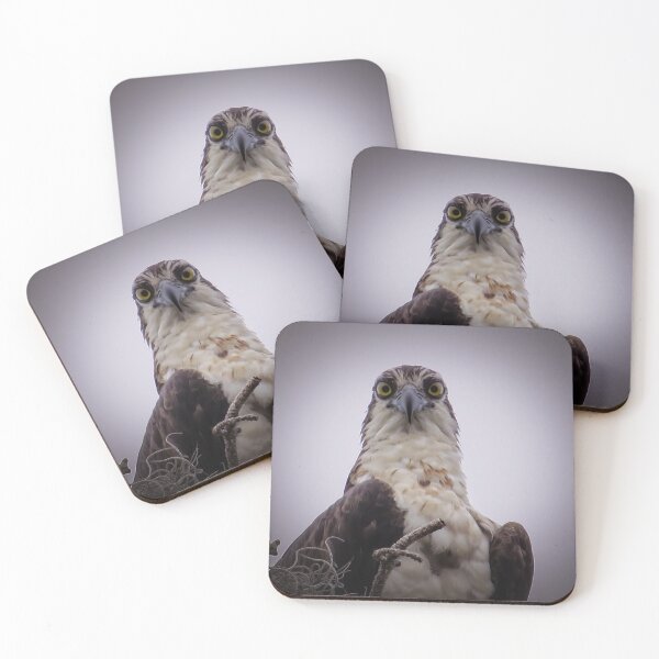 Item preview, Stay away from my nest designed and sold by Zina Stromberg.