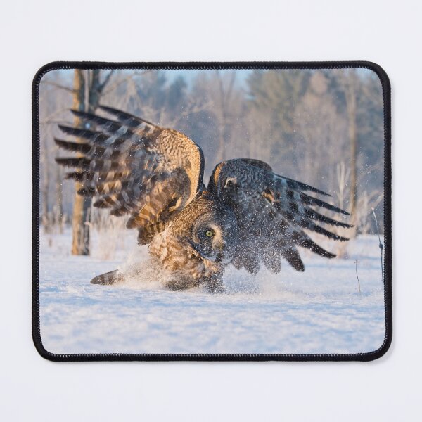 Item preview, Great Grey Owl designed and sold by Owl-Images.