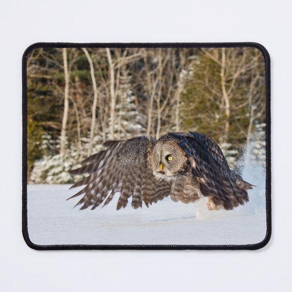 Item preview, Great Grey Owl designed and sold by Owl-Images.