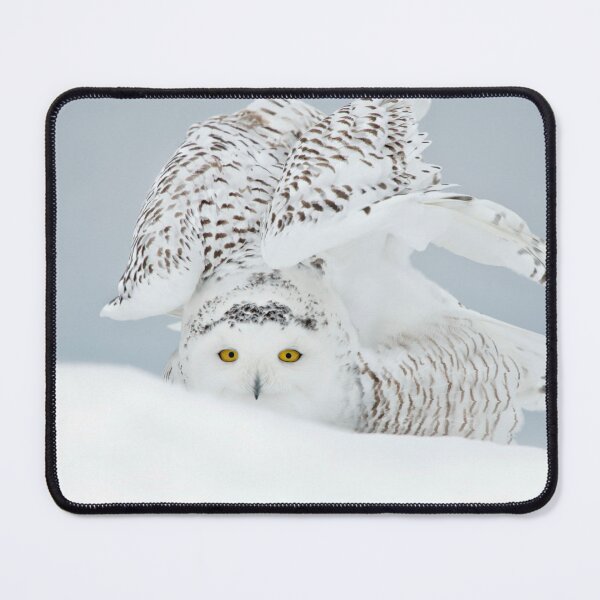 Item preview, Snowy Owl designed and sold by Owl-Images.