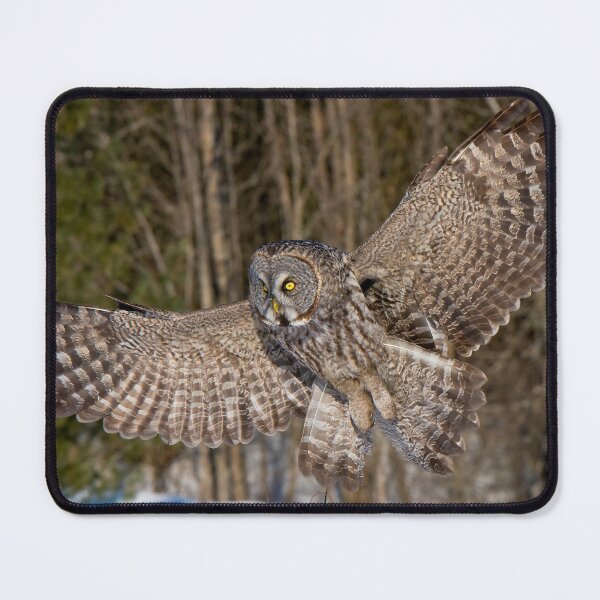 Item preview, Great Grey Owl designed and sold by Owl-Images.