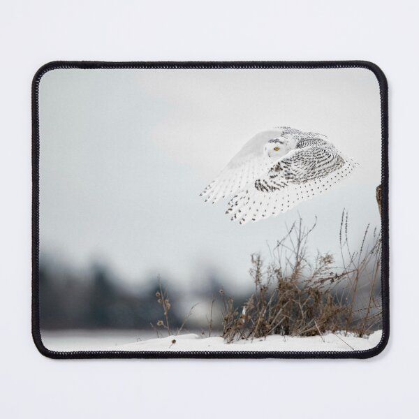 Item preview, Snowy Owl designed and sold by Owl-Images.