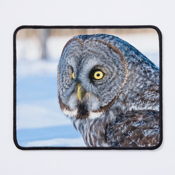 Item preview, Great Grey Owl designed and sold by Owl-Images.
