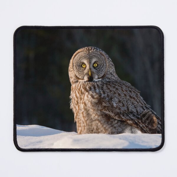 Item preview, Great Grey Owl designed and sold by Owl-Images.