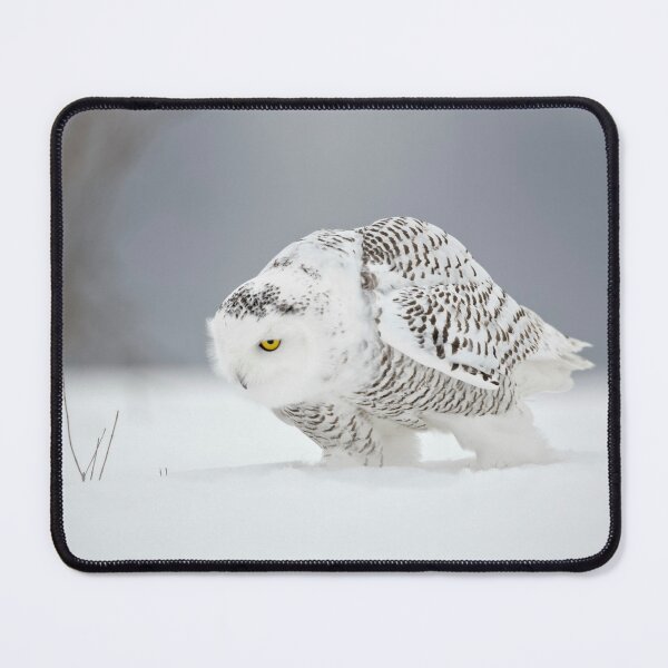Item preview, Snowy Owl designed and sold by Owl-Images.