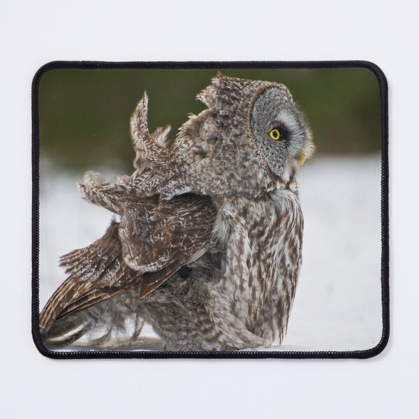 Item preview, Great Grey Owl designed and sold by Owl-Images.