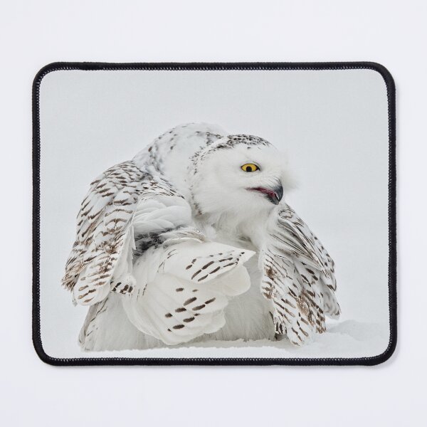 Item preview, Snowy Owl designed and sold by Owl-Images.