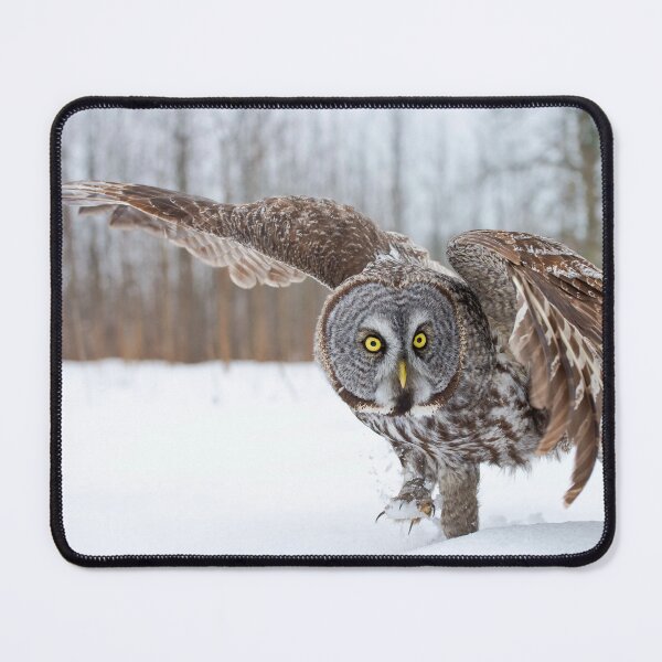 Item preview, Great Grey Owl designed and sold by Owl-Images.