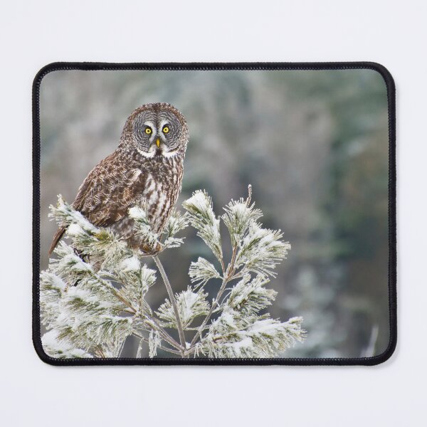 Item preview, Great Grey Owl designed and sold by Owl-Images.