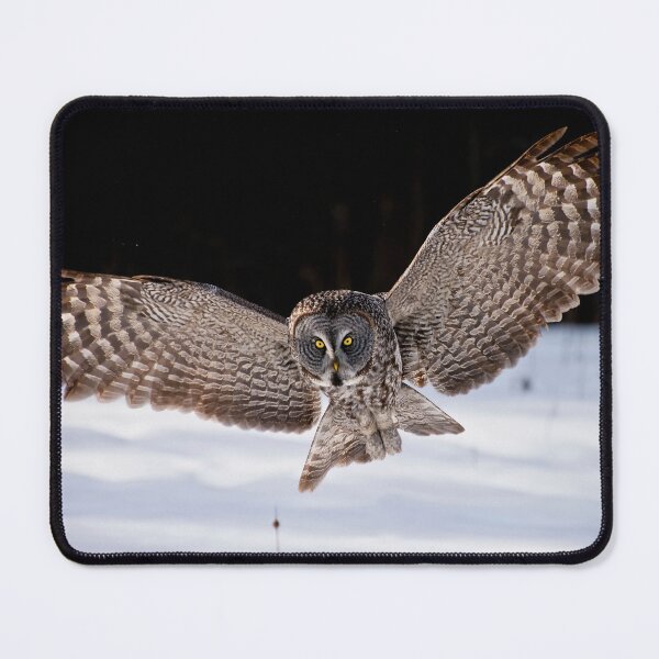 Item preview, Great Grey Owl designed and sold by Owl-Images.