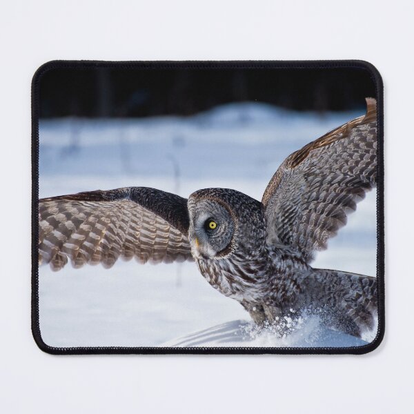 Item preview, Great Grey Owl designed and sold by Owl-Images.