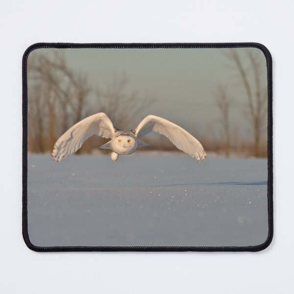 Item preview, Snowy Owl designed and sold by Owl-Images.
