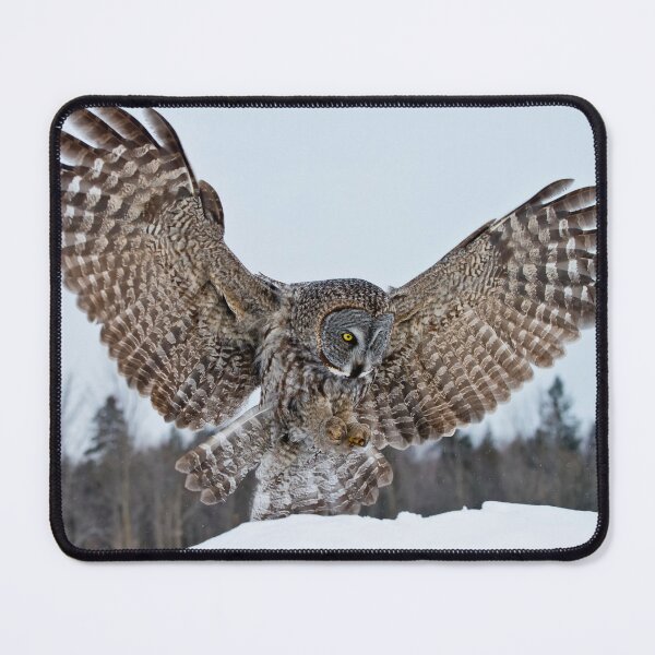 Artikelvorschau, Great Grey Owl entworfen und verkauft von Owl-Images.