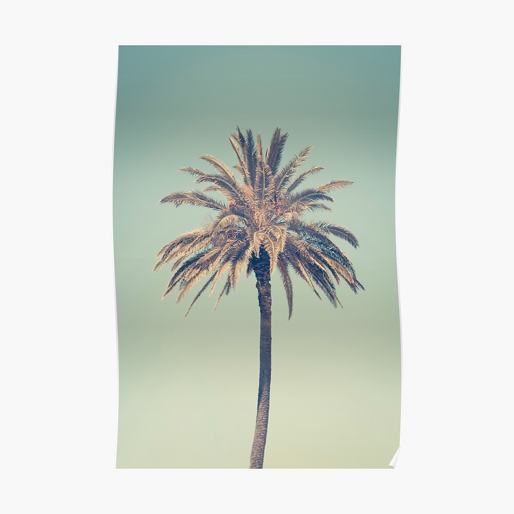 Retro palm tree Poster