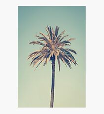 Retro Palme Fotodruck