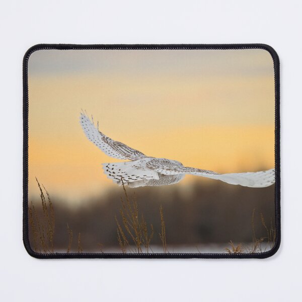 Item preview, Take Off designed and sold by Owl-Images.