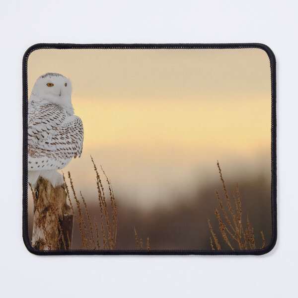 Item preview, Sunset Snowy 2 designed and sold by Owl-Images.