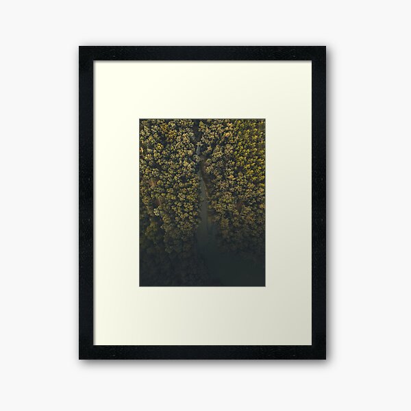 The Jungle of Nicosia Framed Art Print
