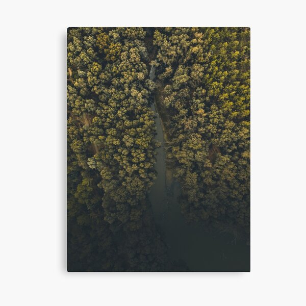 The Jungle of Nicosia Canvas Print