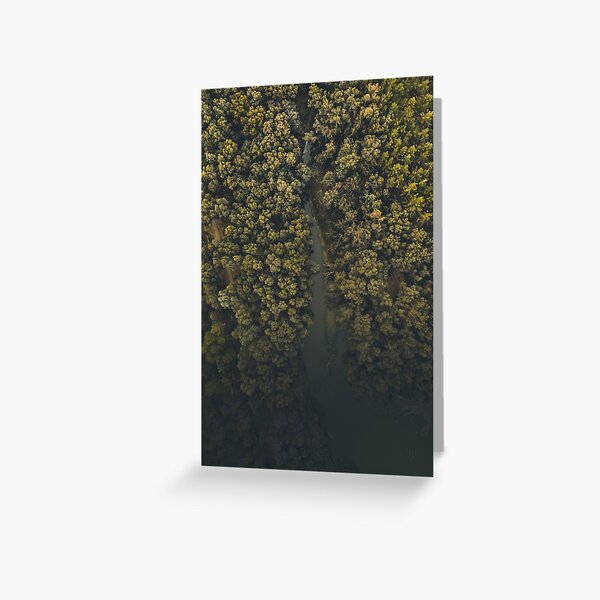 The Jungle of Nicosia Greeting Card