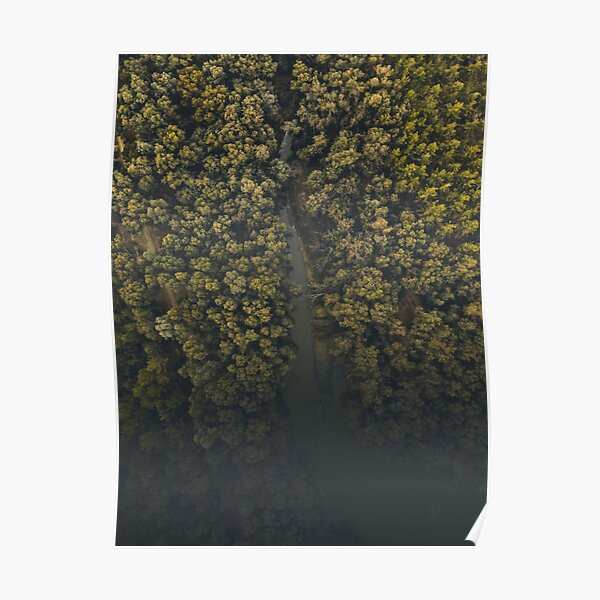 The Jungle of Nicosia Poster
