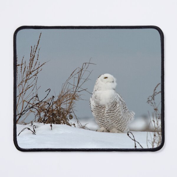 Item preview, Snowy Owl designed and sold by Owl-Images.