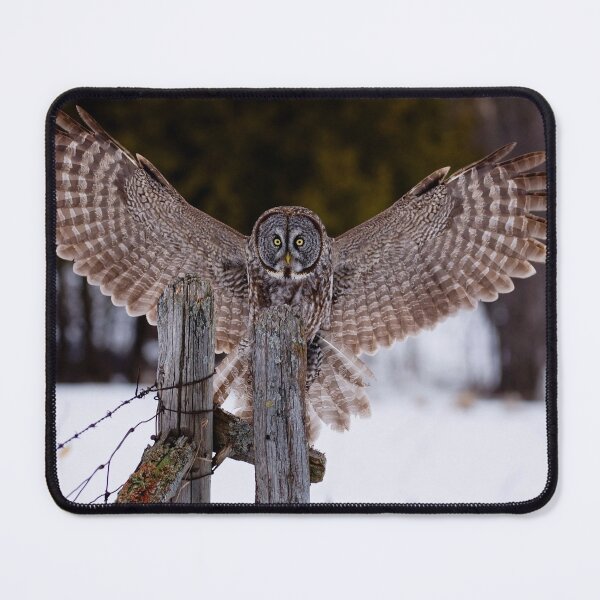 Item preview, Great Grey Owl designed and sold by Owl-Images.