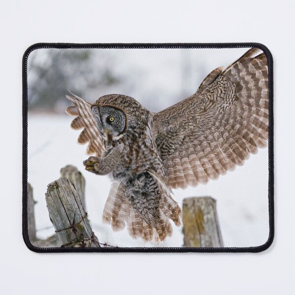 Item preview, Great Grey Owl designed and sold by Owl-Images.