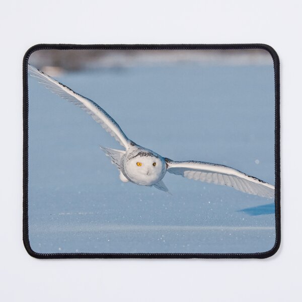 Item preview, Snowy Owl designed and sold by Owl-Images.