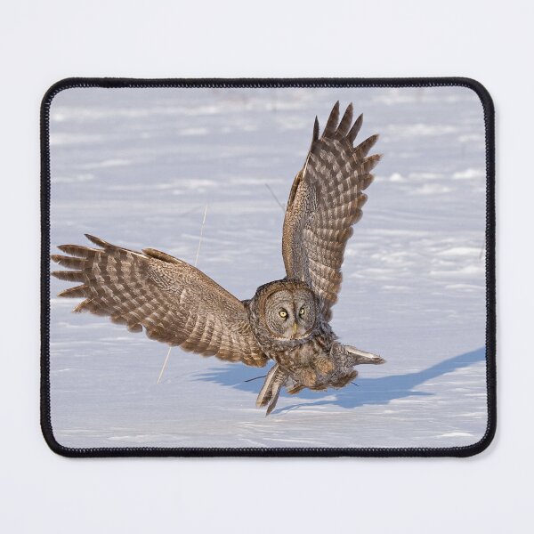 Item preview, Great Grey Owl designed and sold by Owl-Images.