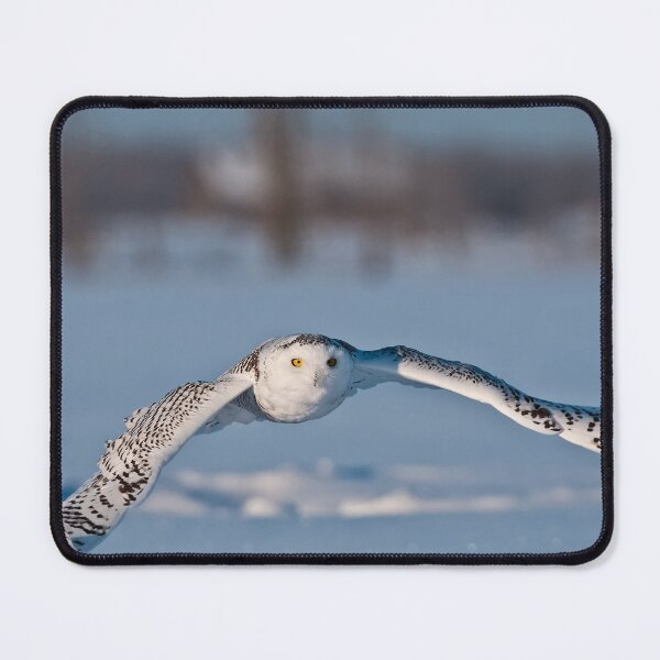 Item preview, Snowy Owl designed and sold by Owl-Images.