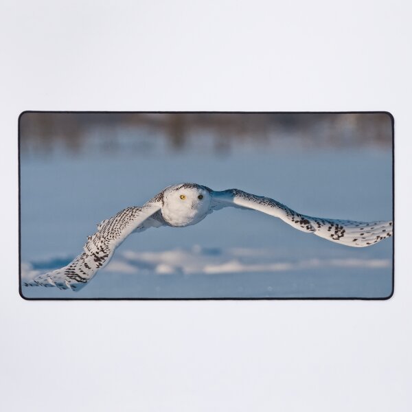 Item preview, Snowy Owl designed and sold by Owl-Images.