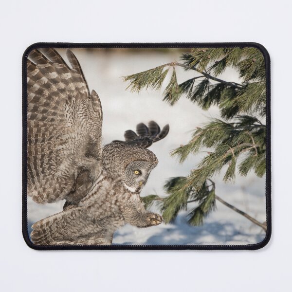Item preview, Great Grey Owl designed and sold by Owl-Images.