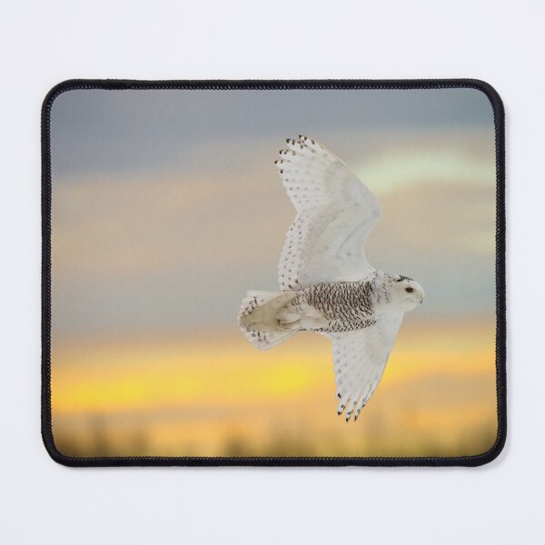 Item preview, Sunset Snowy In Flight designed and sold by Owl-Images.