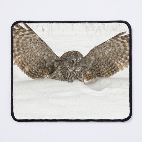 Item preview, Great Grey Owl designed and sold by Owl-Images.