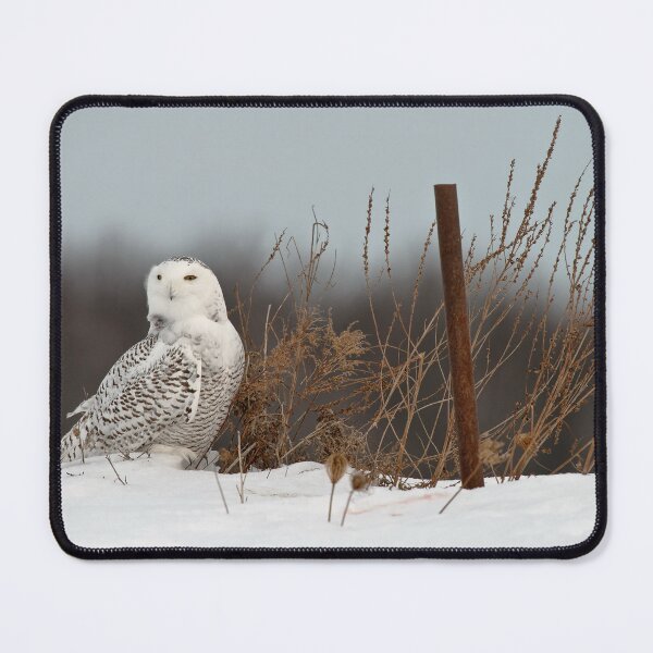 Item preview, Snowy Owl designed and sold by Owl-Images.