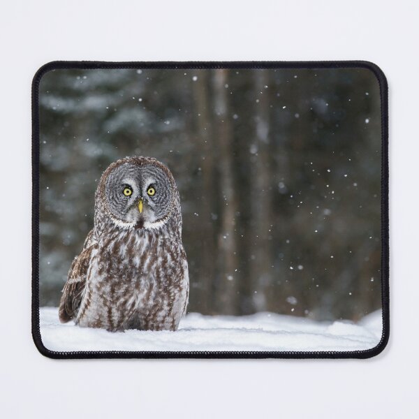 Item preview, Great Grey Owl designed and sold by Owl-Images.