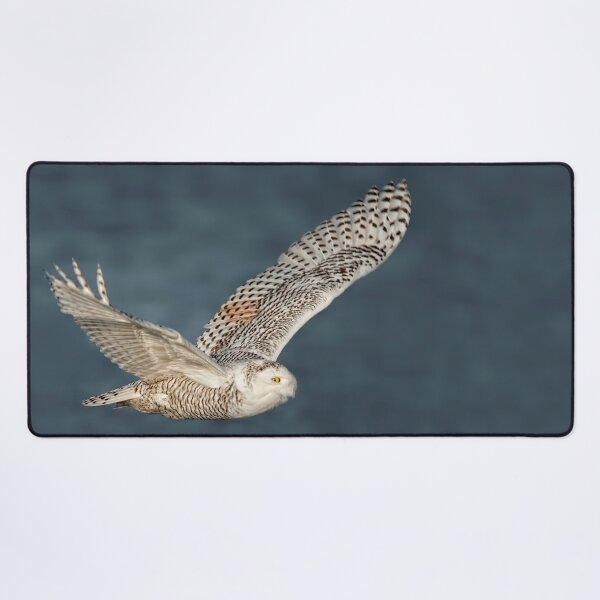 Item preview, Snowy Owl designed and sold by Owl-Images.